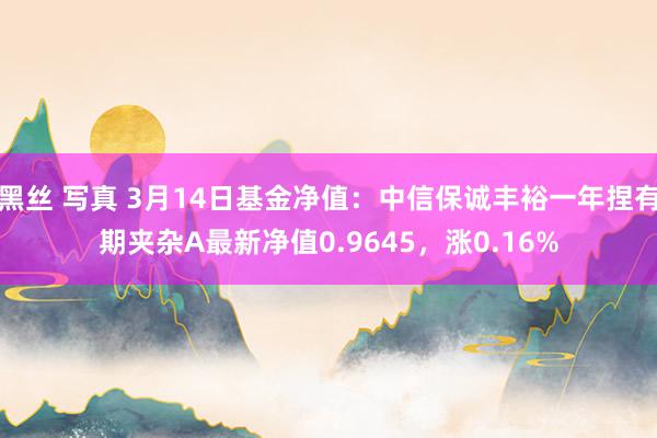 黑丝 写真 3月14日基金净值：中信保诚丰裕一年捏有期夹杂A最新净值0.9645，涨0.16%