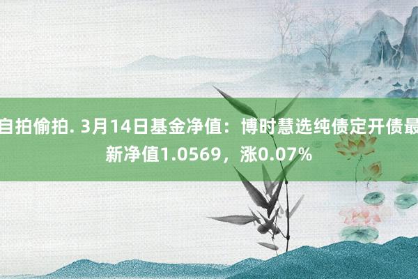 自拍偷拍. 3月14日基金净值：博时慧选纯债定开债最新净值1.0569，涨0.07%