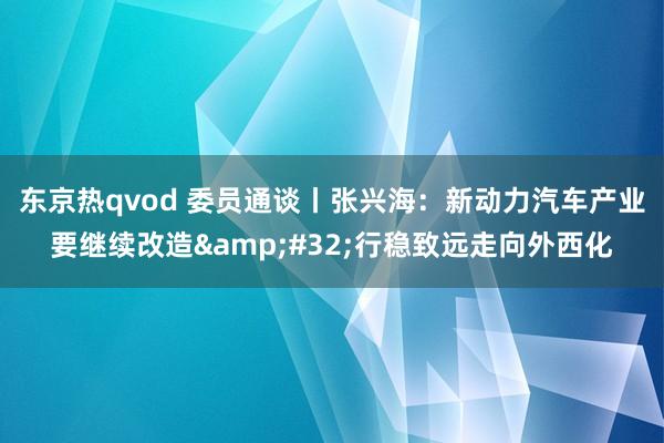 东京热qvod 委员通谈丨张兴海：新动力汽车产业要继续改造&#32;行稳致远走向外西化