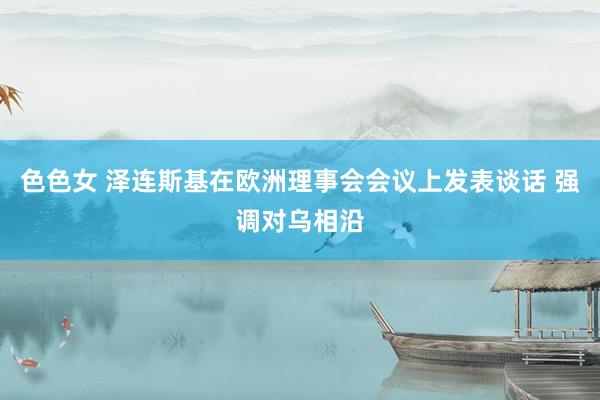 色色女 泽连斯基在欧洲理事会会议上发表谈话 强调对乌相沿