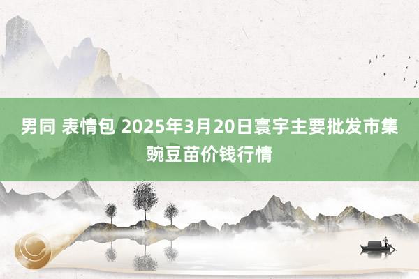 男同 表情包 2025年3月20日寰宇主要批发市集豌豆苗价钱行情