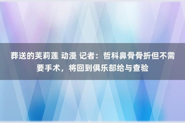 葬送的芙莉莲 动漫 记者：哲科鼻骨骨折但不需要手术，将回到俱乐部给与查验