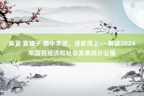 麻豆 夏晴子 稳中求进，逐新而上——解读2024年国民经济和社会发展统计公报