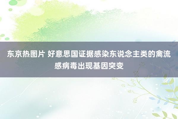 东京热图片 好意思国证据感染东说念主类的禽流感病毒出现基因突变