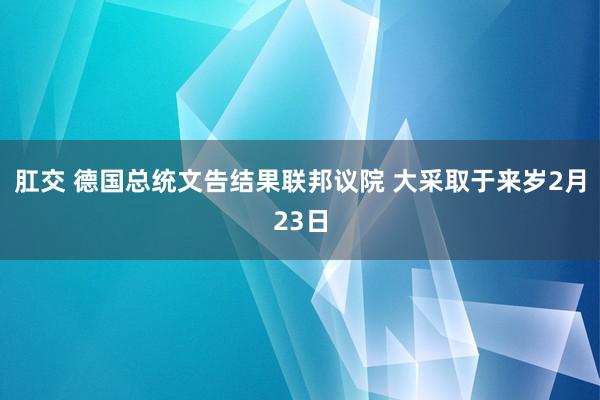 肛交 德国总统文告结果联邦议院 大采取于来岁2月23日
