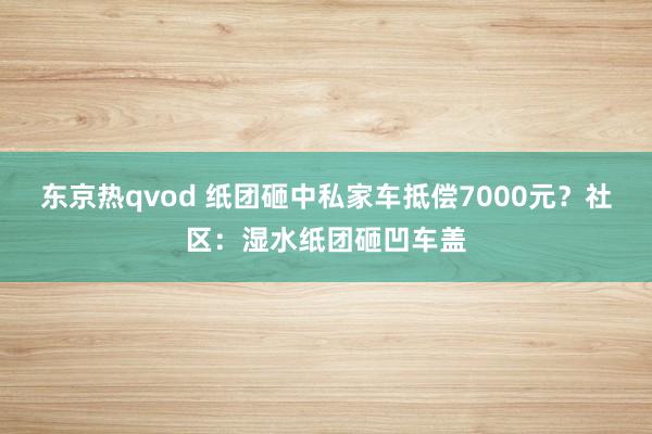 东京热qvod 纸团砸中私家车抵偿7000元？社区：湿水纸团砸凹车盖