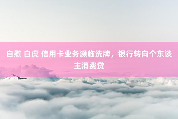 自慰 白虎 信用卡业务濒临洗牌，银行转向个东谈主消费贷