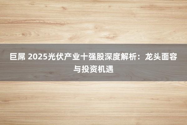 巨屌 2025光伏产业十强股深度解析：龙头面容与投资机遇