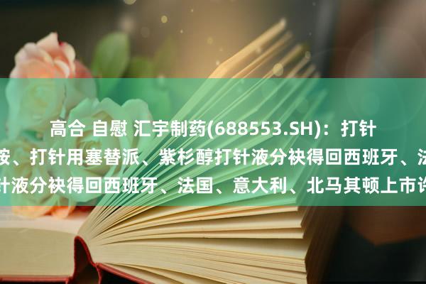 高合 自慰 汇宇制药(688553.SH)：打针用伏立康唑、打针用环磷酰胺、打针用塞替派、紫杉醇打针液分袂得回西班牙、法国、意大利、北马其顿上市许可