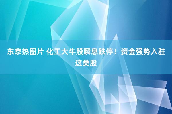 东京热图片 化工大牛股瞬息跌停！资金强势入驻这类股