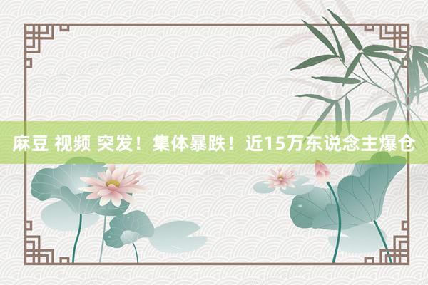 麻豆 视频 突发！集体暴跌！近15万东说念主爆仓