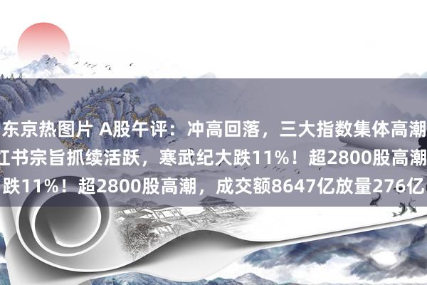 东京热图片 A股午评：冲高回落，三大指数集体高潮，沪指涨0.21%，小红书宗旨抓续活跃，寒武纪大跌11%！超2800股高潮，成交额8647亿放量276亿