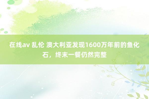 在线av 乱伦 澳大利亚发现1600万年前的鱼化石，终末一餐仍然完整