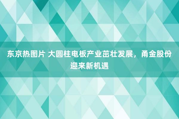东京热图片 大圆柱电板产业茁壮发展，甬金股份迎来新机遇