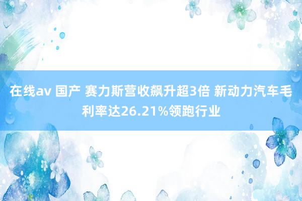 在线av 国产 赛力斯营收飙升超3倍 新动力汽车毛利率达26.21%领跑行业