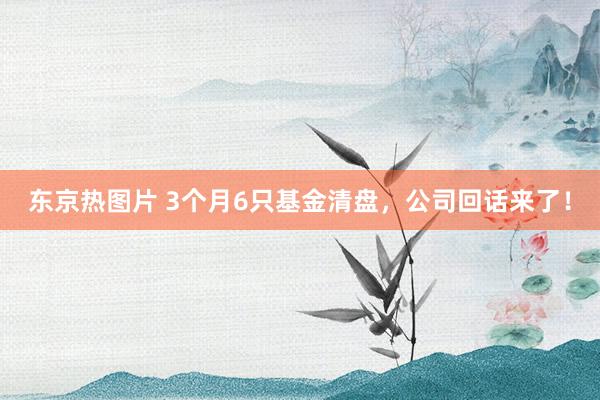 东京热图片 3个月6只基金清盘，公司回话来了！