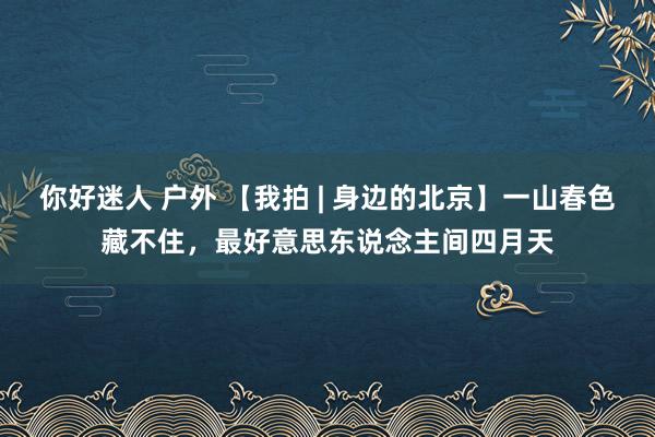 你好迷人 户外 【我拍 | 身边的北京】一山春色藏不住，最好意思东说念主间四月天