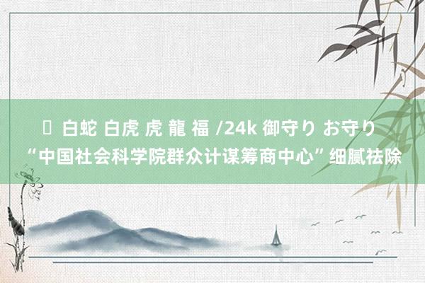 ✨白蛇 白虎 虎 龍 福 /24k 御守り お守り “中国社会科学院群众计谋筹商中心”细腻祛除