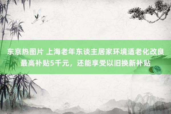 东京热图片 上海老年东谈主居家环境适老化改良最高补贴5千元，还能享受以旧换新补贴