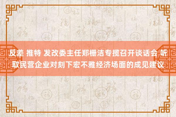 反差 推特 发改委主任郑栅洁专揽召开谈话会 听取民营企业对刻下宏不雅经济场面的成见建议