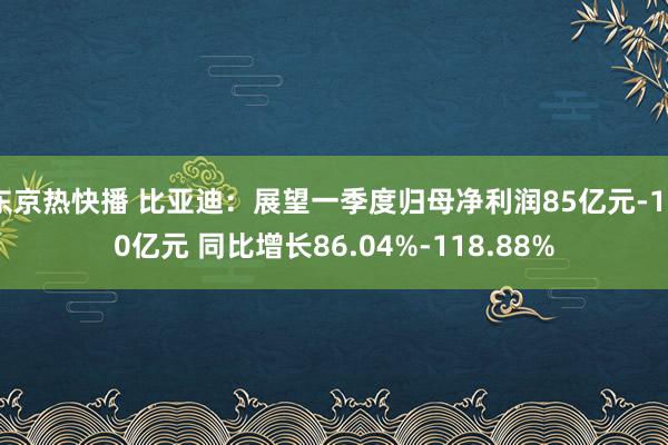 东京热快播 比亚迪：展望一季度归母净利润85亿元-100亿元 同比增长86.04%-118.88%