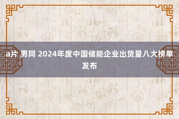 a片 男同 2024年度中国储能企业出货量八大榜单发布