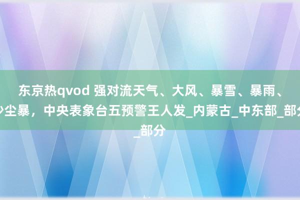 东京热qvod 强对流天气、大风、暴雪、暴雨、沙尘暴，中央表象台五预警王人发_内蒙古_中东部_部分