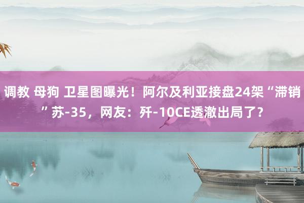 调教 母狗 卫星图曝光！阿尔及利亚接盘24架“滞销”苏-35，网友：歼-10CE透澈出局了？