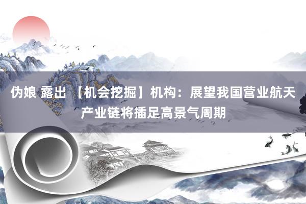 伪娘 露出 【机会挖掘】机构：展望我国营业航天产业链将插足高景气周期