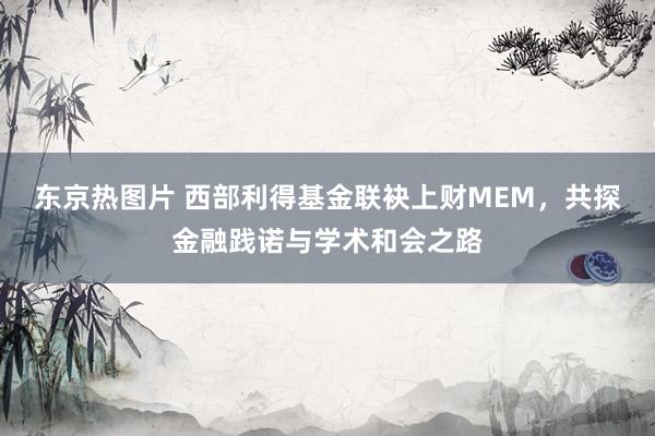 东京热图片 西部利得基金联袂上财MEM，共探金融践诺与学术和会之路