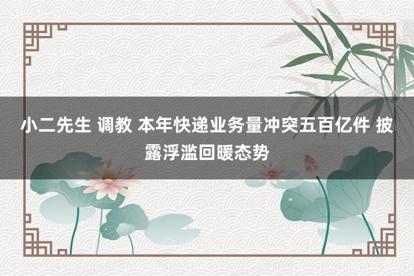 小二先生 调教 本年快递业务量冲突五百亿件 披露浮滥回暖态势