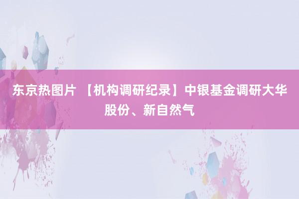 东京热图片 【机构调研纪录】中银基金调研大华股份、新自然气