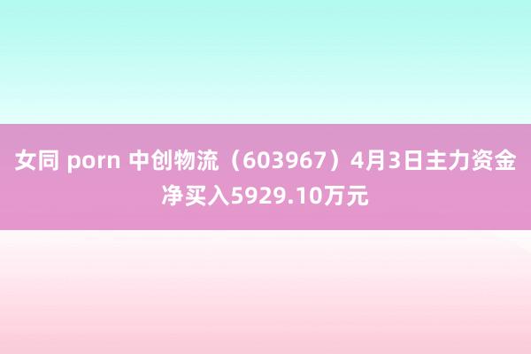 女同 porn 中创物流（603967）4月3日主力资金净买入5929.10万元