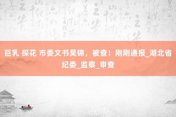 巨乳 探花 市委文书吴锦，被查！刚刚通报_湖北省纪委_监察_审查