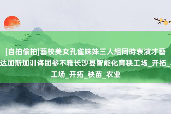 [自拍偷拍]藝校美女孔雀妹妹三人組同時表演才藝 组图：马达加斯加训诲团参不雅长沙县智能化育秧工场_开拓_秧苗_农业