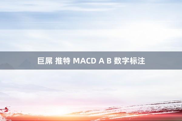 巨屌 推特 MACD A B 数字标注
