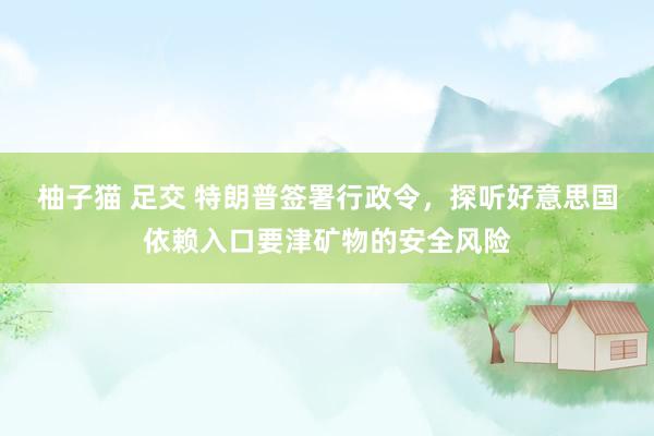 柚子猫 足交 特朗普签署行政令，探听好意思国依赖入口要津矿物的安全风险
