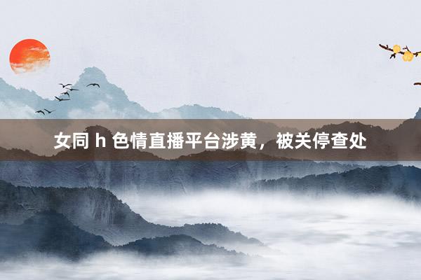 女同 h 色情直播平台涉黄，被关停查处