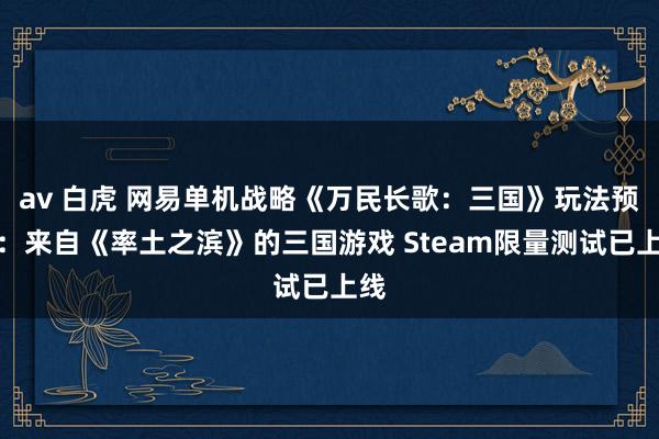 av 白虎 网易单机战略《万民长歌：三国》玩法预报：来自《率土之滨》的三国游戏 Steam限量测试已上线