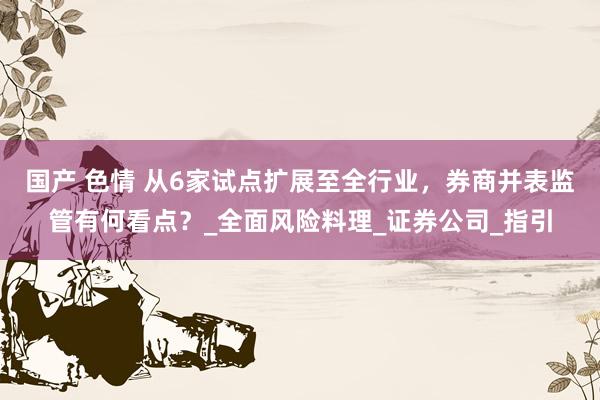 国产 色情 从6家试点扩展至全行业，券商并表监管有何看点？_全面风险料理_证券公司_指引