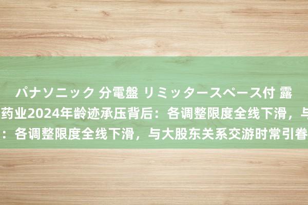 パナソニック 分電盤 リミッタースペース付 露出・半埋込両用形 康缘药业2024年龄迹承压背后：各调整限度全线下滑，与大股东关系交游时常引眷注