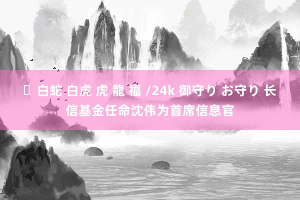 ✨白蛇 白虎 虎 龍 福 /24k 御守り お守り 长信基金任命沈伟为首席信息官