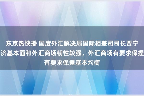 东京热快播 国度外汇解决局国际相差司司长贾宁：我国经济基本面和外汇商场韧性较强，外汇商场有要求保捏基本均衡