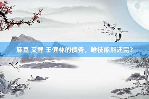 麻豆 艾鲤 王健林的债务，啥技能能还完？