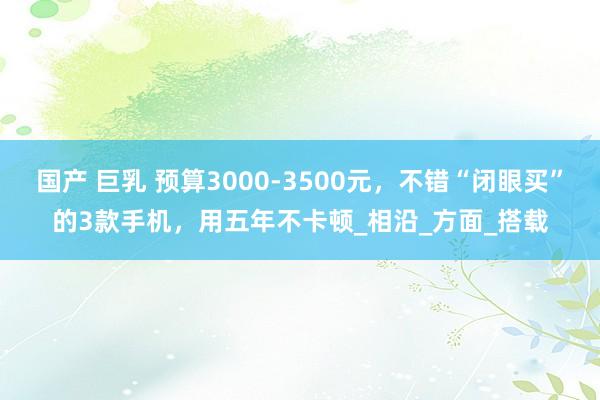 国产 巨乳 预算3000-3500元，不错“闭眼买”的3款手机，用五年不卡顿_相沿_方面_搭载