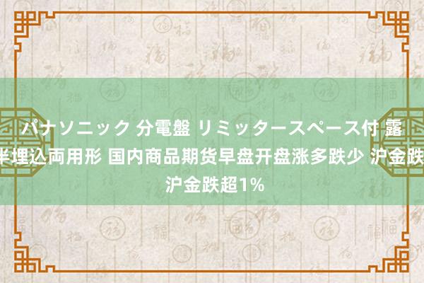 パナソニック 分電盤 リミッタースペース付 露出・半埋込両用形 国内商品期货早盘开盘涨多跌少 沪金跌超1%