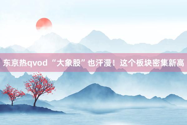 东京热qvod “大象股”也汗漫！这个板块密集新高
