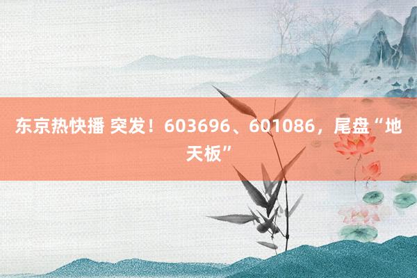 东京热快播 突发！603696、601086，尾盘“地天板”
