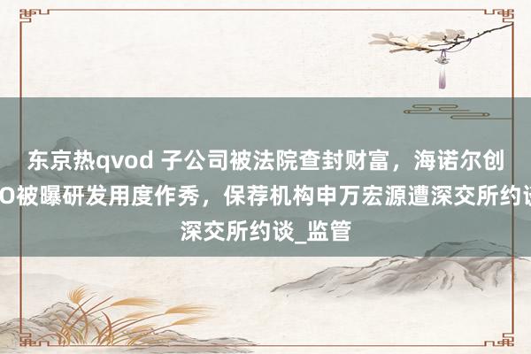 东京热qvod 子公司被法院查封财富，海诺尔创业板IPO被曝研发用度作秀，保荐机构申万宏源遭深交所约谈_监管