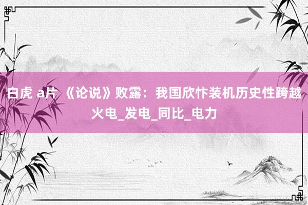 白虎 a片 《论说》败露：我国欣忭装机历史性跨越火电_发电_同比_电力